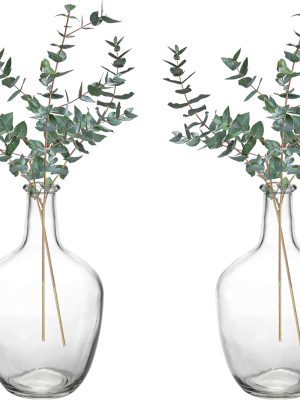 2 Pack Clear Stout Glass Vases, 10 Inch Small Decorative Balloon Jug Vases Single Bud Neck Flower, Handmade Vintage Flower Vase for Tabletop, Centerpiece, Home, Hotel Decoration