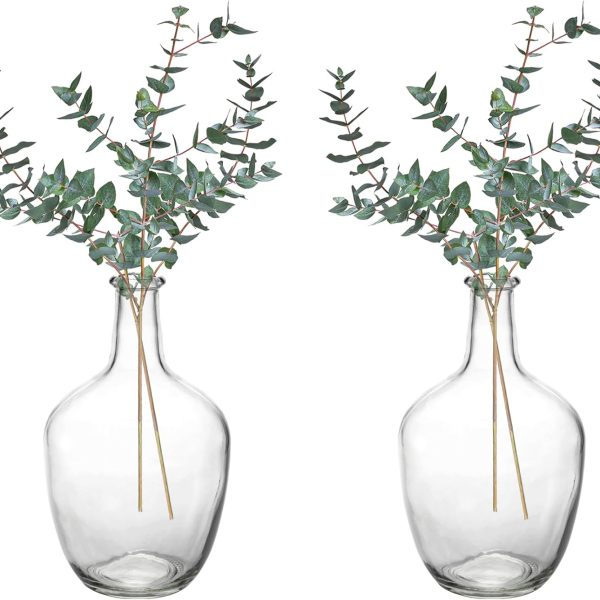 2 Pack Clear Stout Glass Vases, 10 Inch Small Decorative Balloon Jug Vases Single Bud Neck Flower, Handmade Vintage Flower Vase for Tabletop, Centerpiece, Home, Hotel Decoration